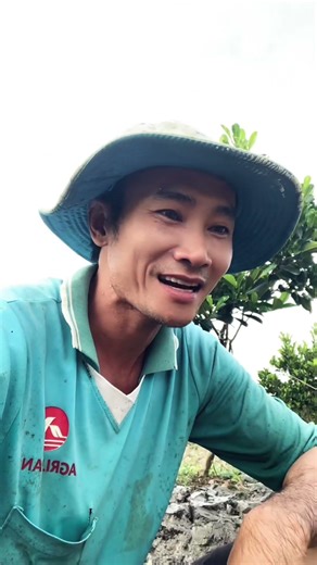 Preparing the jackfruit trees for the 12-month-old garden #hoangnongdan #mientay