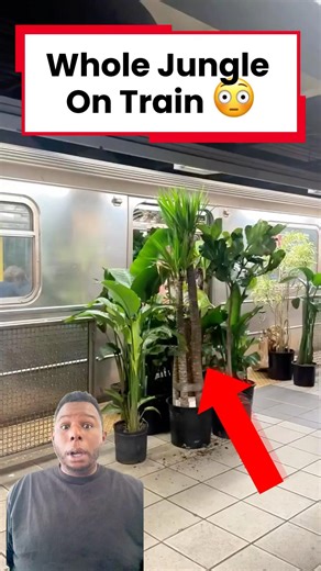 The Train Stopped… Then Everyone Saw What He Was Carrying 😳🌱