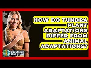 How Do Tundra Plant Adaptations Differ From Animal Adaptations? - Ecosystem Essentials