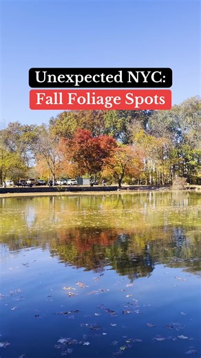 Catch stunning fall foliage at these hidden gem spots in New York City! 🎥: @iloveny, @wavehill | I LOVE NEW YORK
