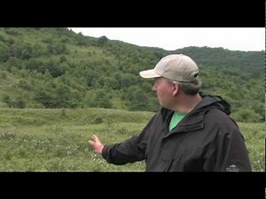 Amphibolite Mountains.mov