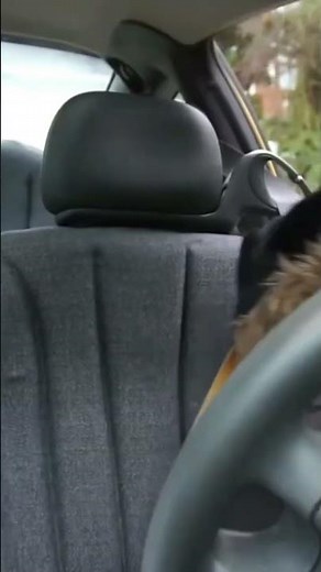 When you have to poop while driving 😭 #skit