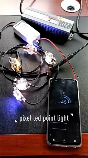 WS2811 12V RGBW RGB LED Pixel Light  IP68 Theme Park & Christmas Landscape Home Decoration Plastic Lamp Body