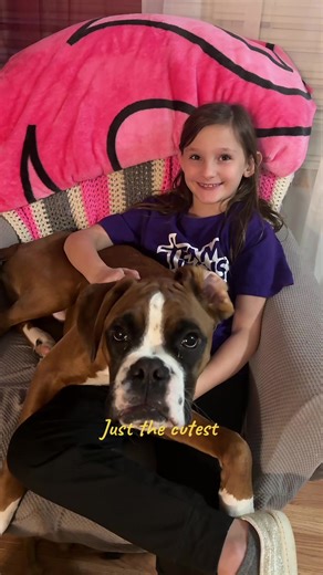 The cutest little Maximus #boxersoftiktok #boxerdog