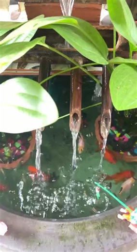 DIY Mini Fish Pond with Waterfall & Plants #shorts 121