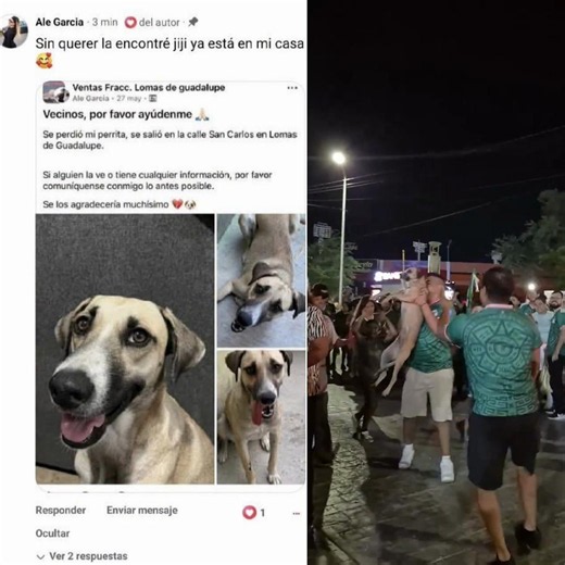 🐶🥹🇲🇽 Una perrita que llevaba un mes desaparecida fue encontrada por sus dueños después de que la reconocieran en una transmisión en vivo durante los festejos por la victoria de México. ¡El reencuentro más inesperado y bonito del día! ❤️🐾 🎥:Carretoneando #México #FinalFeliz #Perritos