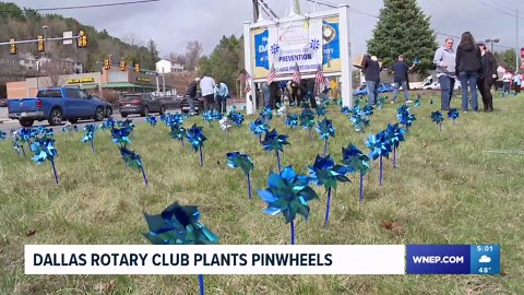 Pinwheels for Prevention to mark National Child Abuse Prevention Month