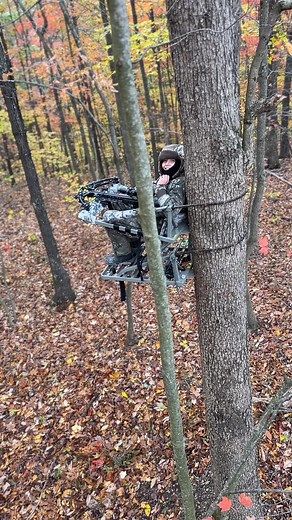 Y’all know what this smile means?!! Update: He shot a dandy an dropped him in his tracks, the deer then made it back to his feet and took off over the mountain.. We tracked for approximately 500 yards with blood every step until it came to an end.. Called in a dog to pursue the track in which we came up unsuccessful. We sure hate wounding deer but I reckon it happens to the best of us! P.S I know he don’t have a harness on, we don’t wear them in our climbers there are bars wrapped all the way ar