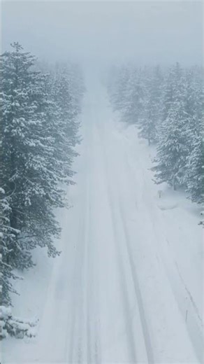 Cruising Alaska: Is the $30 'Beyond' Mod Worth It?