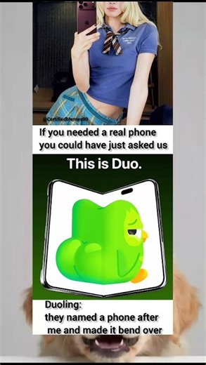 Duolingo phone went crazy😂 #dankmemes #funny #duolingo #memesdaily