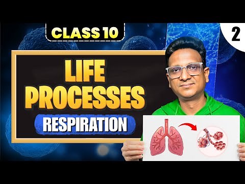 Life Processes - Ep2 | CBSE Class 10 Biology | Respiration| Easy Explanation