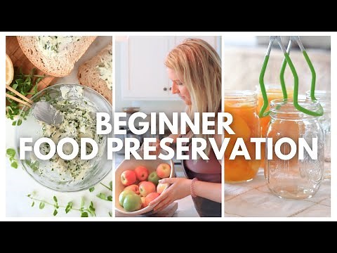 6 Easy Ways to Preserve Food | EASY FOOD PRESERVATION RECIPES FOR BEGINNERS