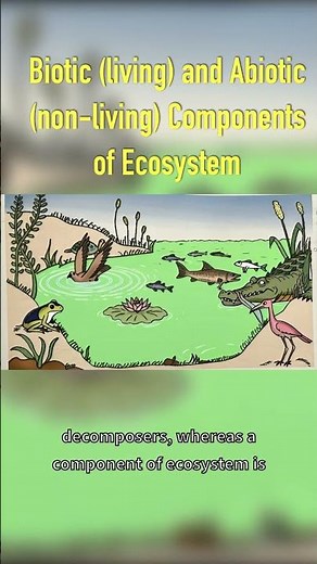 Components of Ecosystem- Biotic and Abiotic #biology #environment #plants #animals