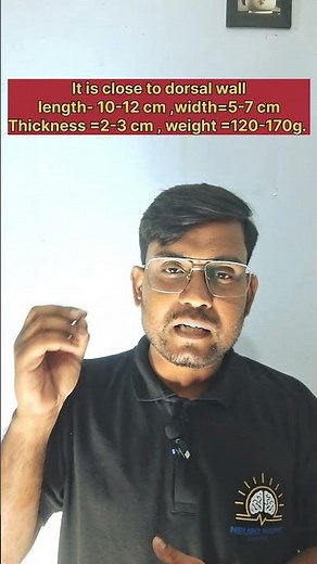 Human excretory system, parts of excretory system, kidney and it structure |#neet|#teaching|#board