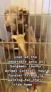 4.7K views · 283 reactions | We are WILD about our new friendship...