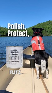 Smooth sailing and wagging tails! Keep your boat shining with Flitz Polish & Paint Protector for every adventure with your four-legged first mate! | Flitz Polishing & Buffing Products | Facebook