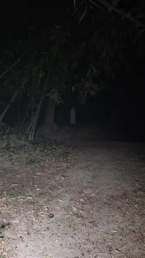 Exploring Real Ghost Encounters