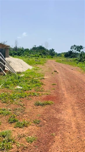 20K views · 185 reactions |  occasion très importante. Vient prendre ce terrain tu vas construire chap chap . ✅ 0779786496 WhatsApp ✅ 0586882767 appel uniquement #dndservicesimmo #lotissementapprouve #TerrainAvecACD #diaspora #MCLU #client #toutlemonde #vidéovirale #hommedaffaires | 94 Services de jacqueville | Facebook