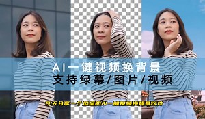 Video Background Remover - AI视频抠像、视频一键换背景软件 本地一键整合包下载