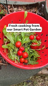 84 reactions | From garden to table, CaliKim is a home gardener who...