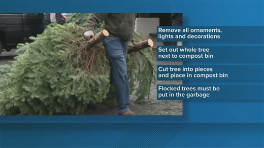 How to recycle your Christmas tree in Portland after the holidays
