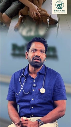 When Vomiting Means ICU 🚨🐾 | Dr K Venkat Yadav | Pet's Care Hospital
