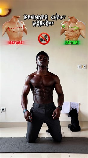 Effective beginner chest workout 🏠 . . . . #chest #workout #homeworkout #chestday #pushup #chestworkout #motivation #fitness #athome #beginner | Fritz Fitness