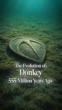 Evolution of Donkey #donkey #biology #nature #history #evolution
