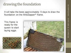 MiteZapper Varroa Mite Control WITHOUT CHEMICALS