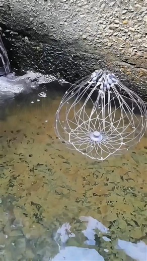 fishcampvietnam on Instagram: "Automatic Fishing Net – the smart, fast, and effortless way to secure fish like a pro! ⚡🐟 Just set, drop, and let the net do the work while you enjoy the moment. Whether you're on the river, lake, or shore… this tool changes the game! 🚀 💡 High-sensitivity trigger + strong spring power = instant snap closure and zero escapes! Perfect for shrimp, fish, crab, eel, and more 🦐🦀🐟 👉 Upgrade your fishing gear today — CLICK LINK IN BIO to grab yours! 🔥 #️⃣ Hashtags 