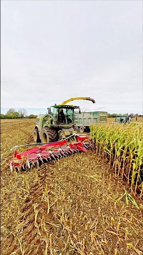 John Deere 9900i forage harvester entering maize