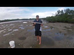 How to yabby pump