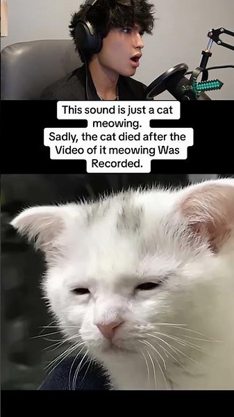 SCARIEST animal facts...