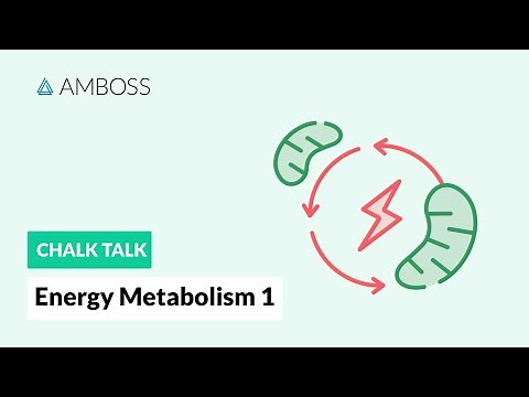 Energy Metabolism - Part 1: Body's Sources of Energy