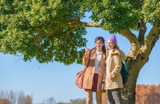 地域住民主導の「コミュニティツーリズム」とは：インバウンド対策として注目される理由／国内事例も紹介