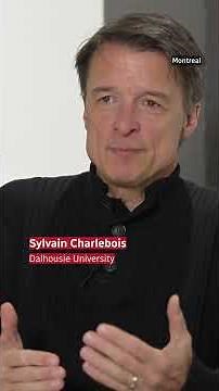 Family of 4 could pay $1K more for food next year