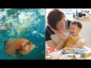 地球に優しいプラスチック