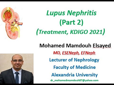 Lupus Nephritis treatment (KDIGO 2021)