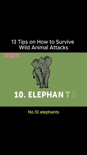 13 Essential Tips for Surviving Wild Animal Attacks