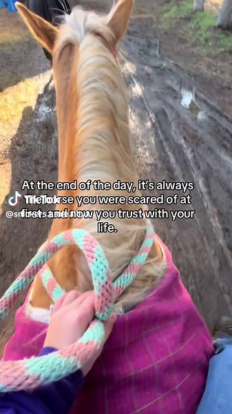 ️Snickers account!!! (@snickers.katie.lilly1)’s videos with krooked kings cigarette daydreams cover - krookedkings