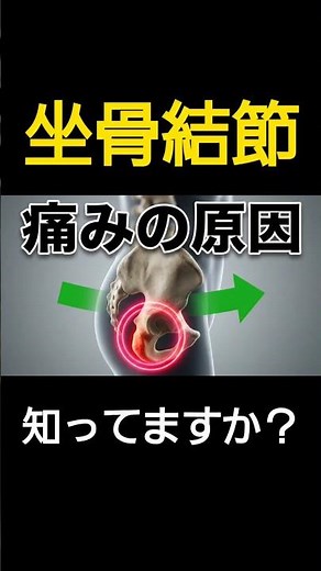 【保存版】坐骨結節の正しい位置、知っていますか？骨盤中間位の作り方【股割り】