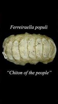 YOU NAMED A SPECIES!