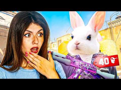 🟢FACEIT SPRE 2300 ELO CA DE IUPURAS