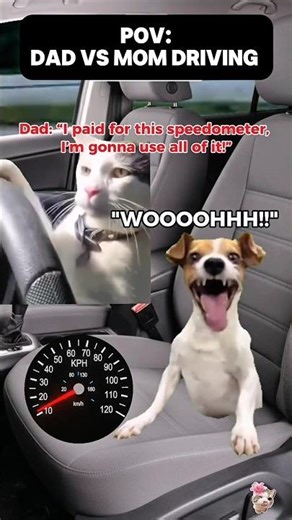 DAD VS MOM Driving ‼️‼️😱#catmeme #cat #shorts