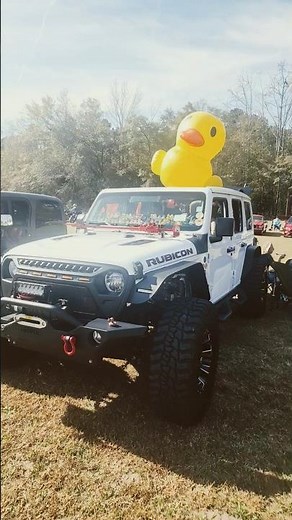 Rubicon Jeep And The Story Behind The Ducks