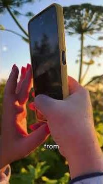 iPhone vs Android: Which Phone Reigns Supreme? #facts #science #phone #shorts