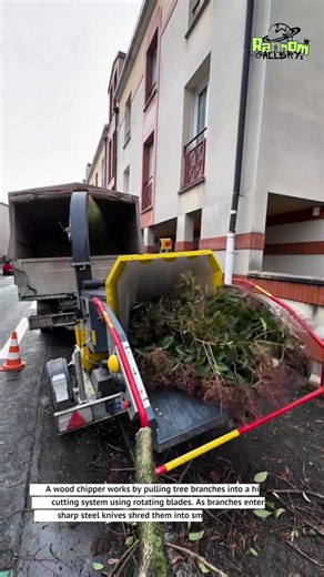 Powerful Wood Chipper Turns Tree Branches into Clean Mulch🙏
