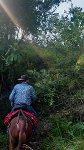 1.8K views · 21 reactions | Ready to test your skills and push...