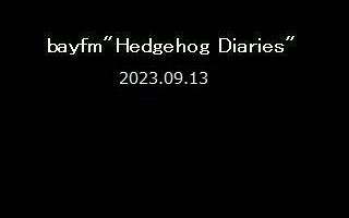 細美武士 ホリエアツシ “ROCKSTEADY” (ストレイテナー) Studio Live