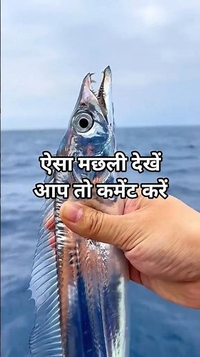 Everything You Need to Know About Fishing Gear#fish #fishing